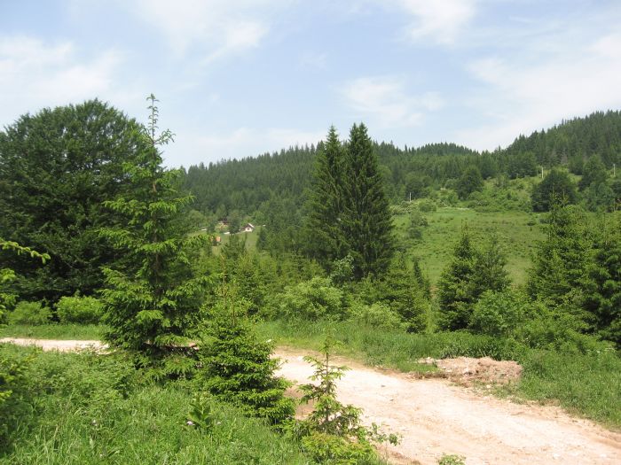 Zemljiste, Ilijaš, Visojevica Nekretnine Pale